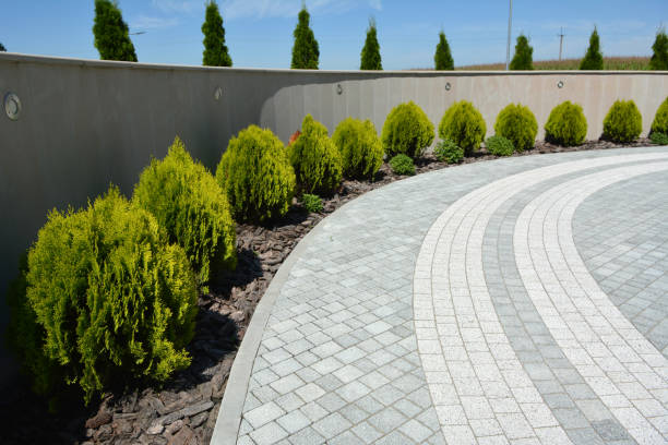 Best Brick Driveway Pavers  in Schertz, TX